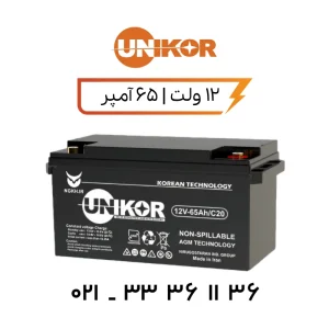 باتری یو پی اس یونیکور 65 آمپر